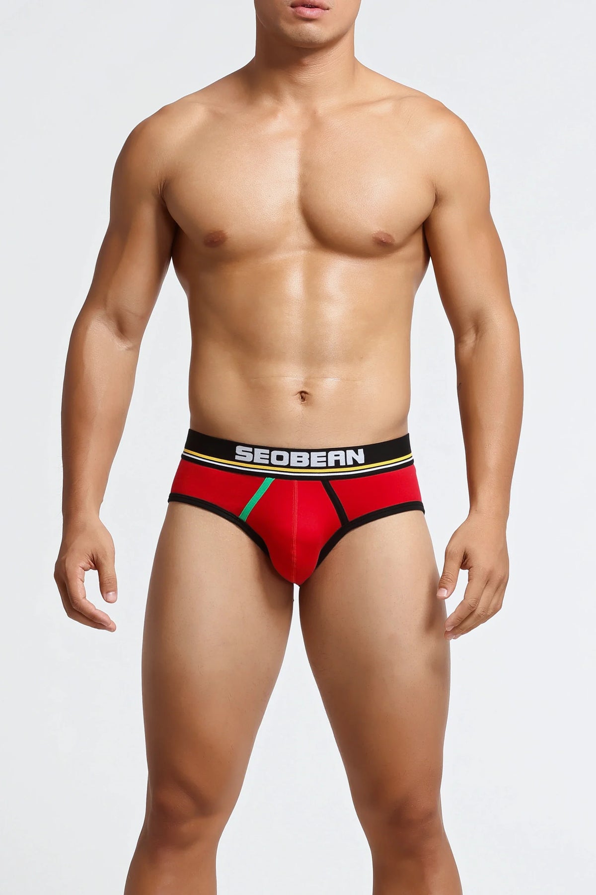 Men’s Low-Rise Cotton Briefs - URBANPICK FASHION